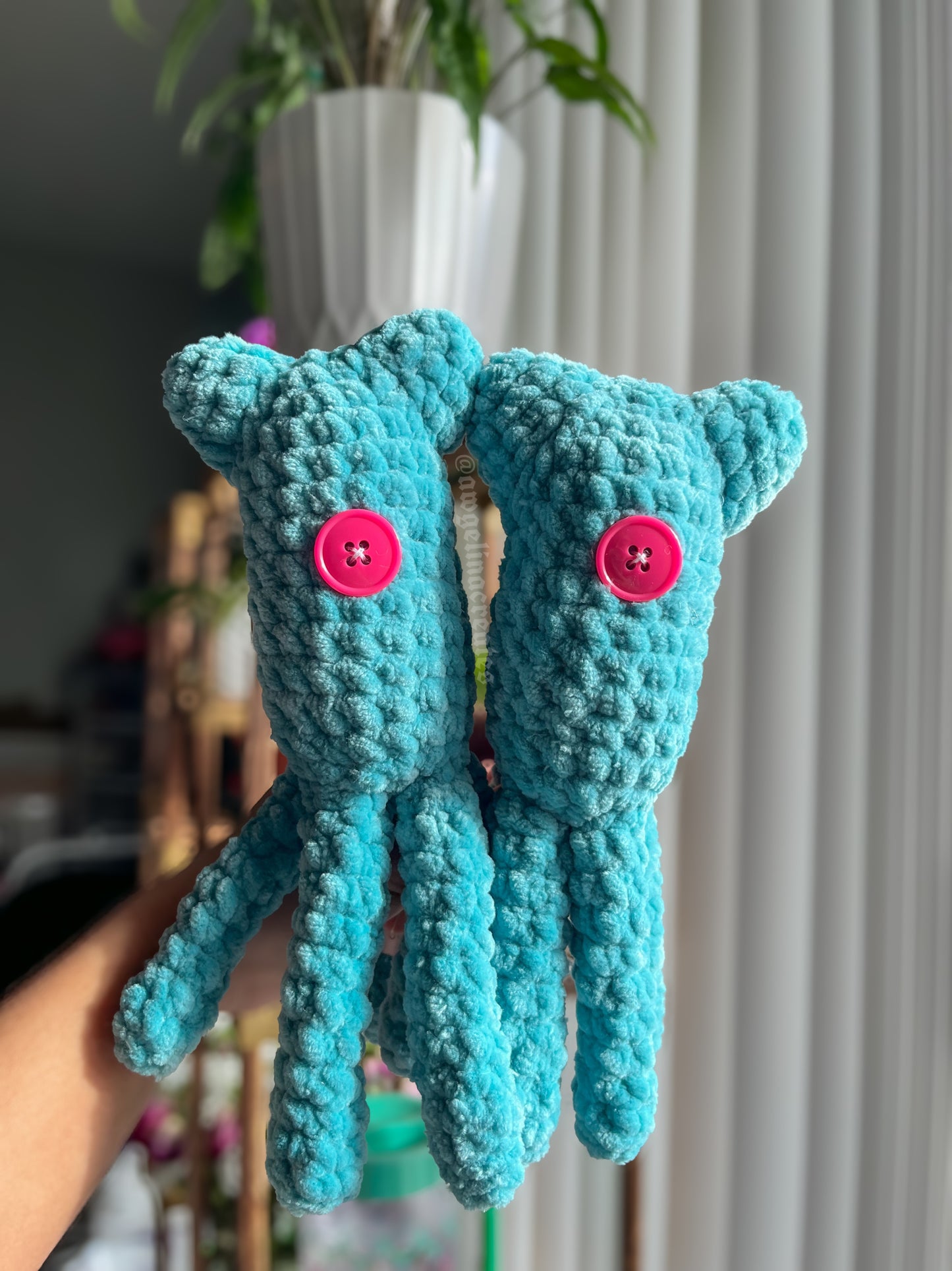 Cat Squid